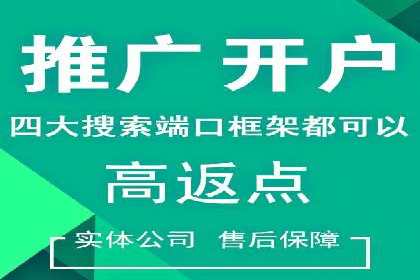 某公司如何通过SEM实现精准营销——从策略到执行的完整案例